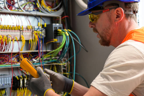 Best Electric Panel Repair  in Metropolis, IL