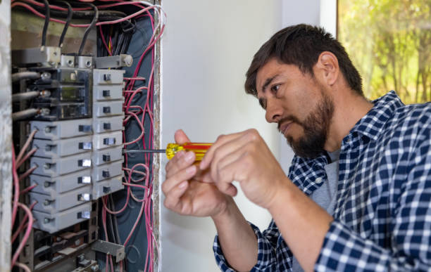 Best Electrical System Inspection  in Metropolis, IL